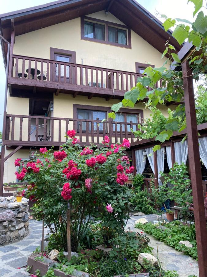 Casa Donau Delta Hotel Сулина Екстериор снимка