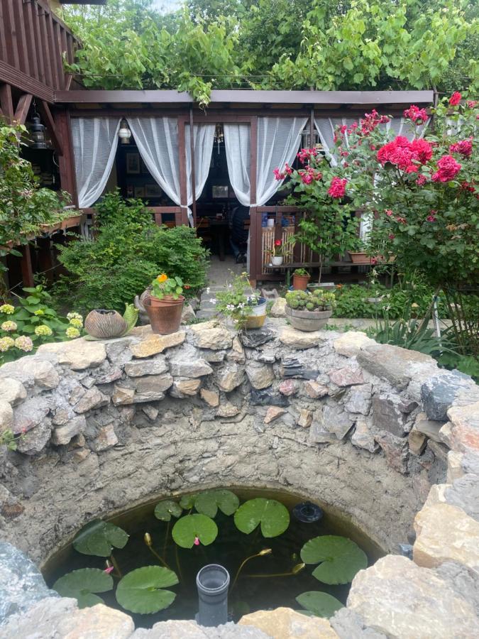 Casa Donau Delta Hotel Сулина Екстериор снимка