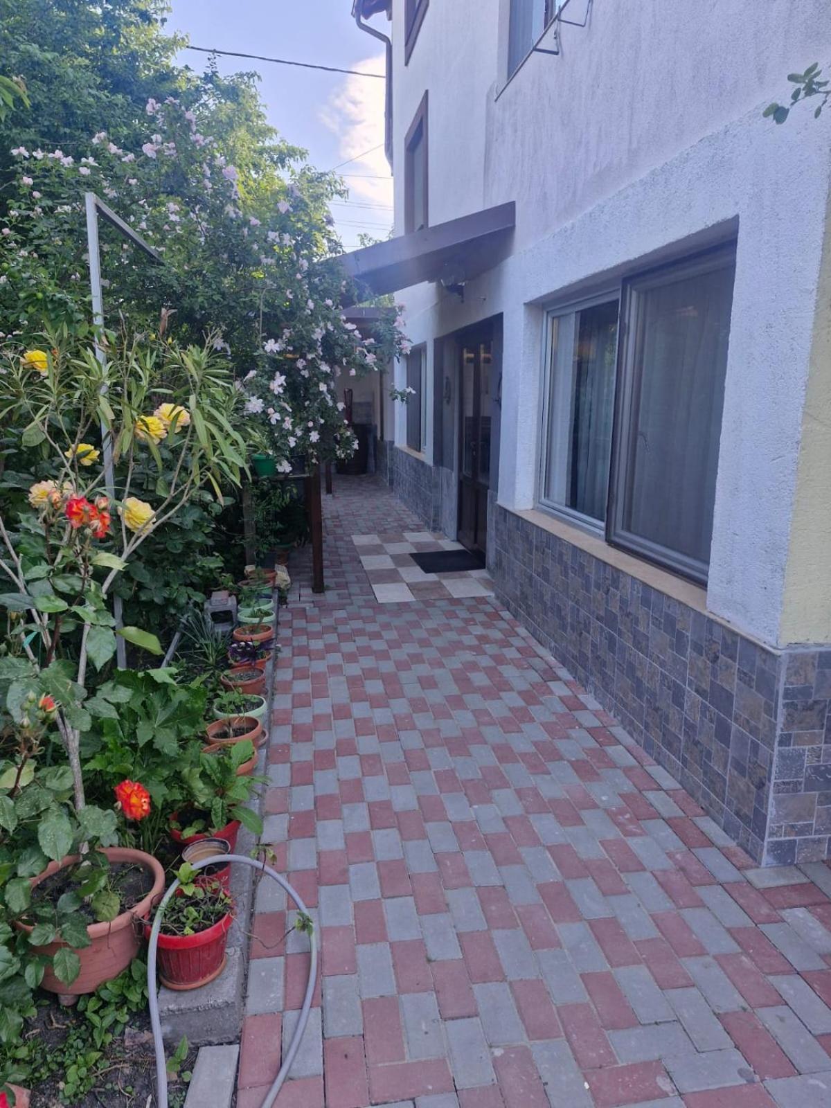 Casa Donau Delta Hotel Сулина Екстериор снимка
